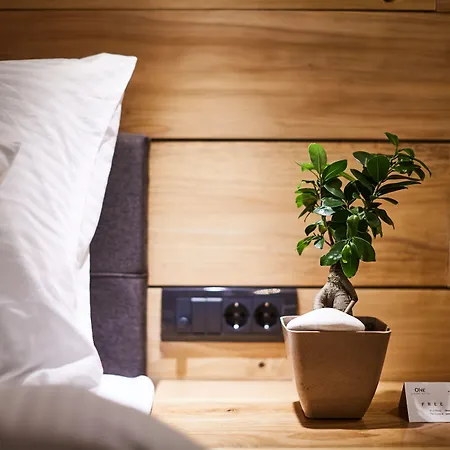 Pensionat One Luxury Belgrad